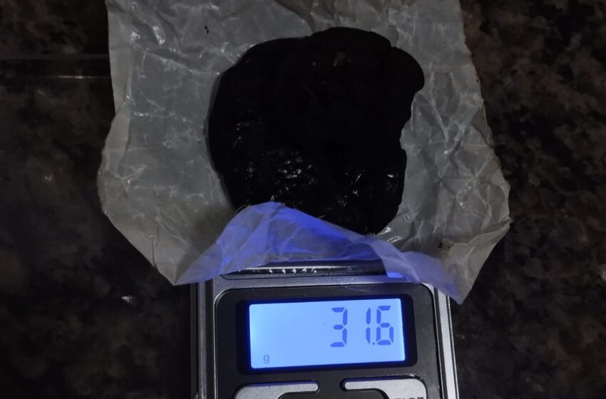 Flagrante: Rocam de Apucarana apreende drogas