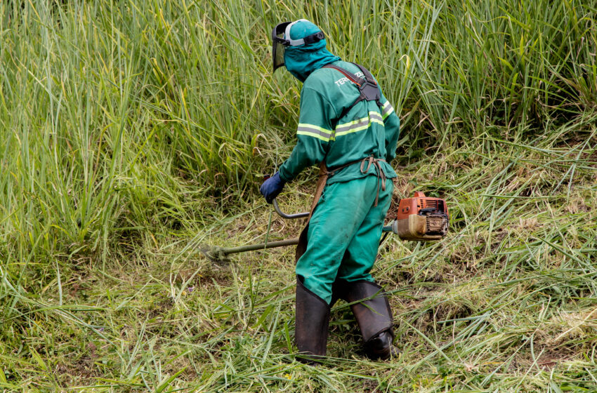 Apucarana fixa prazo de 15 dias para proprietários executarem limpeza de terreno