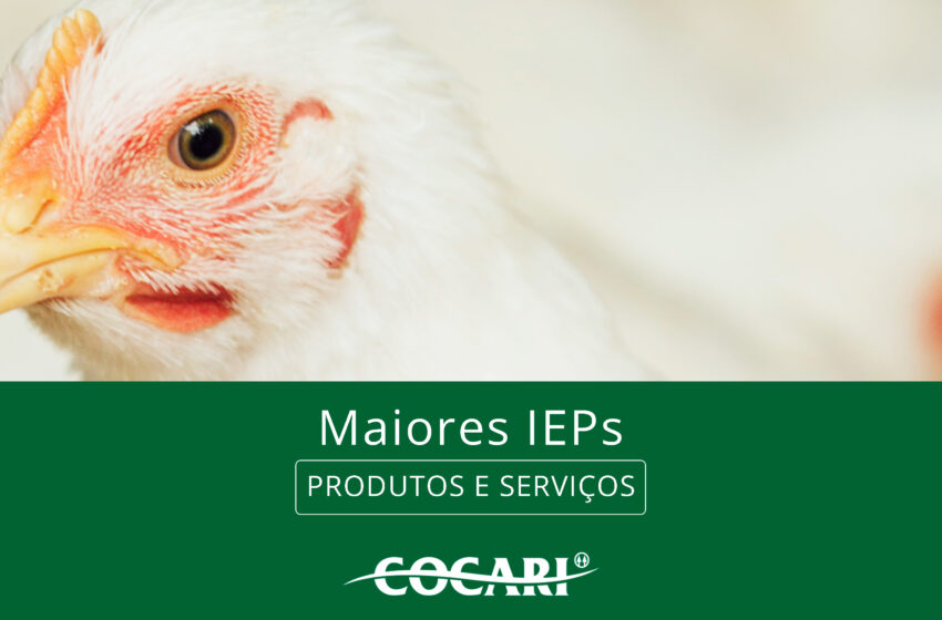 Cooperados avicultores com os maiores Índices de Eficiência Produtiva (IEPs) de março/2025
